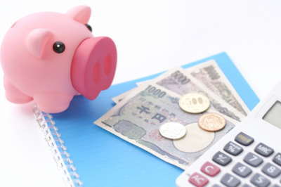 �����̗͂ŉ҂�����